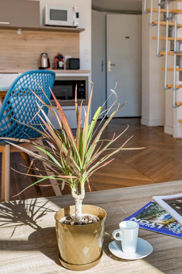 Le Royale Haussmann 4 Places Loft Canut Lyon Exterior foto